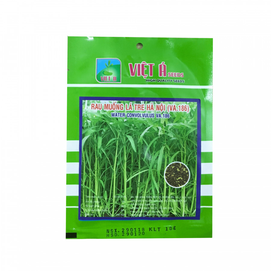 Hạt giống rau muống lá tre Hà Nội cao sản