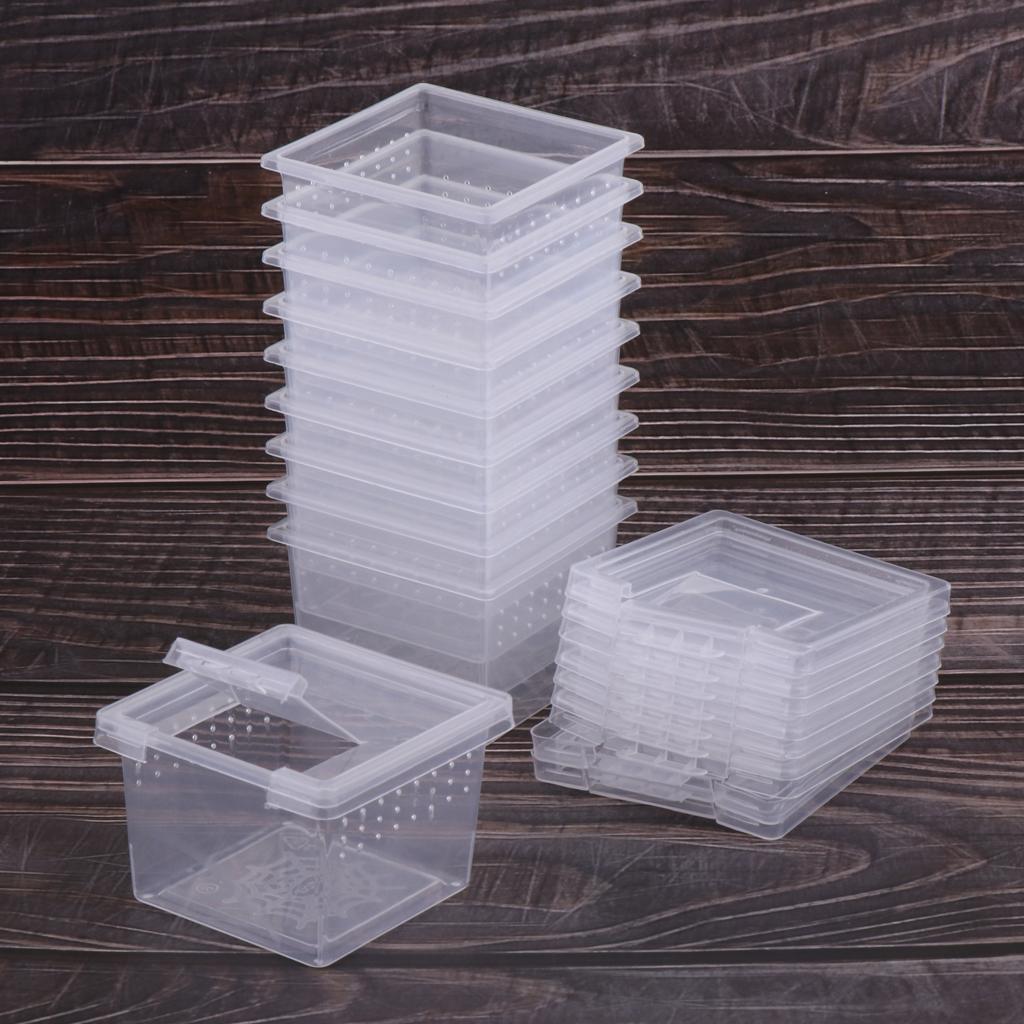 20x Reptile Feeding Container Vivarium Rearing Box for Outing Raise