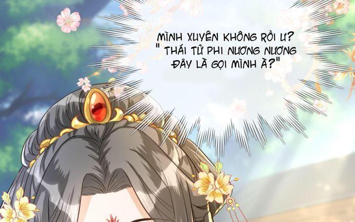 thái tử phi là người thế thân chapter 1 11