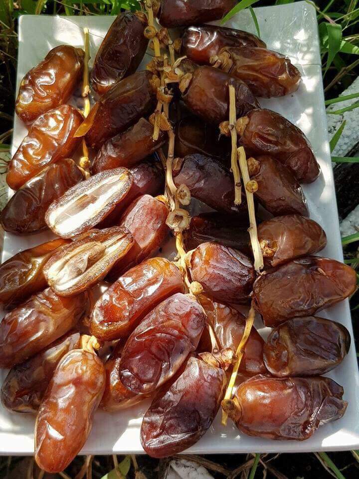 Chà là sấy khô nguyên cành Tunisia