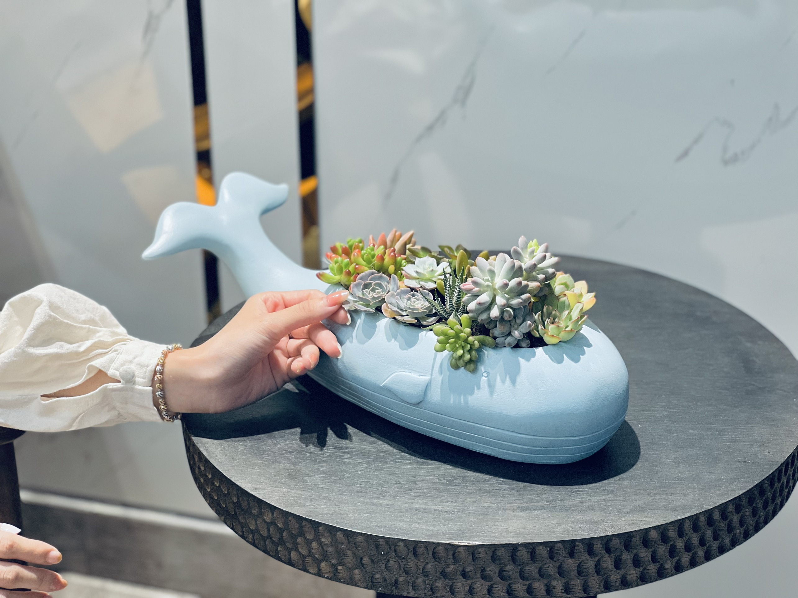 Chậu trồng cây, nuôi cá hình cá Voi - bằng Poly và sợi thuỷ tinh