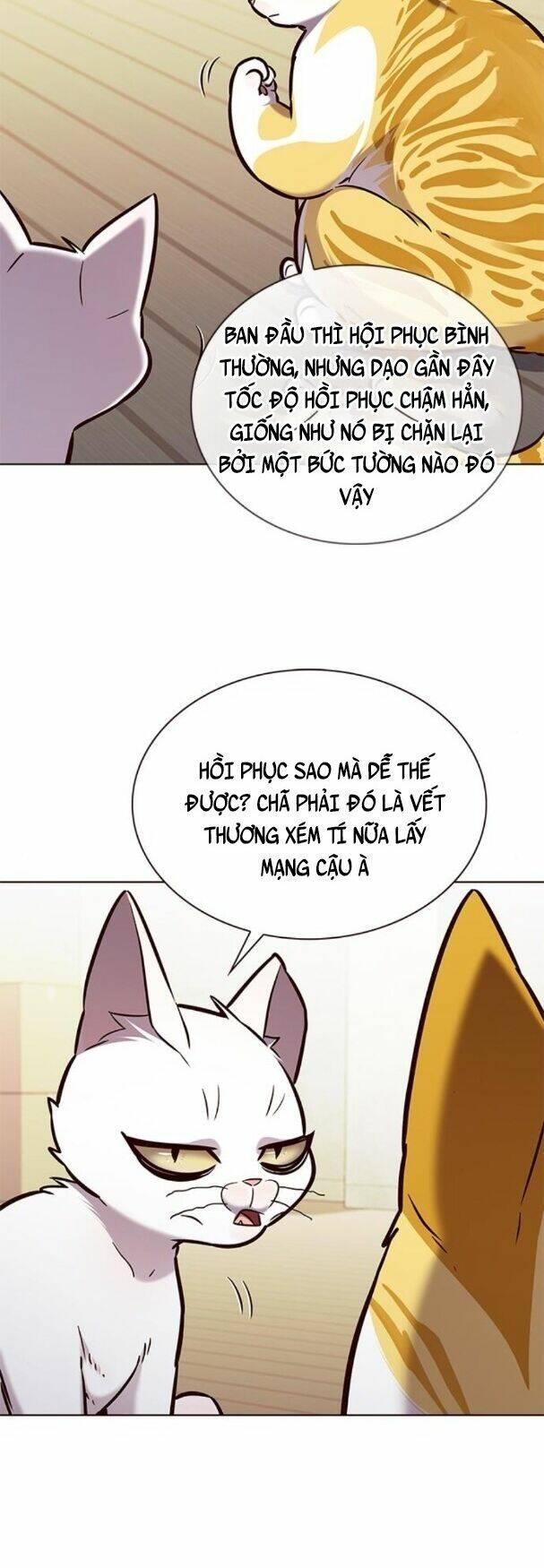 biến thân thành mèo chapter 180 6