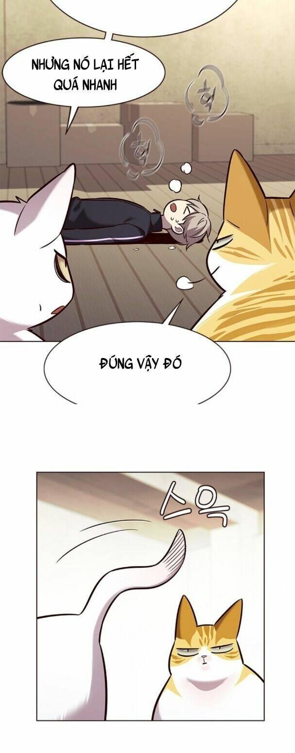 biến thân thành mèo chapter 179 27