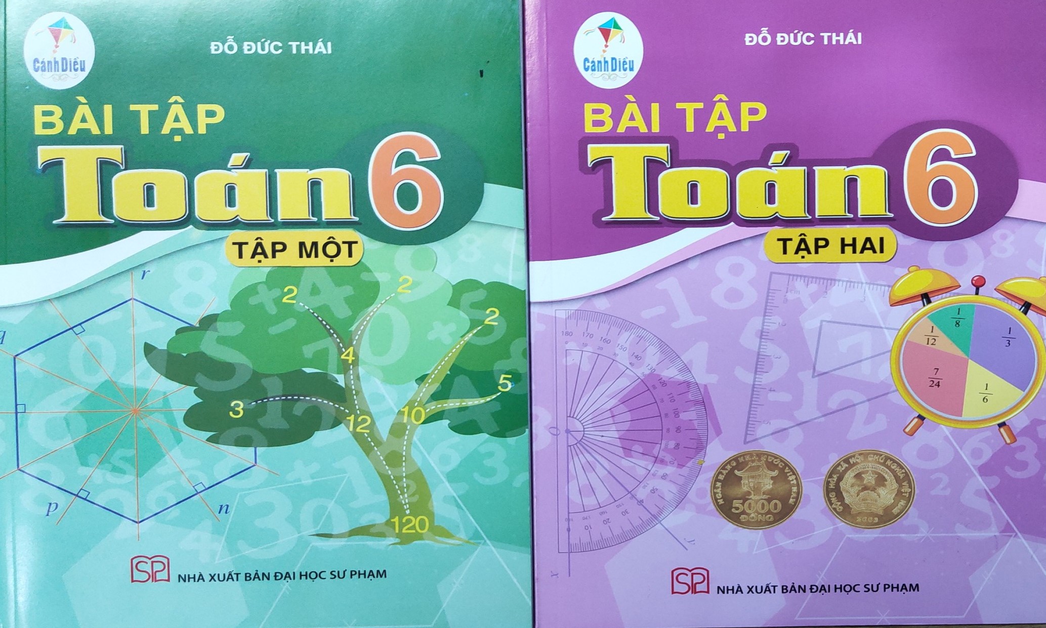 Bài tập Toán lớp 6 Tập 2 (Bộ sách Cánh Diều)