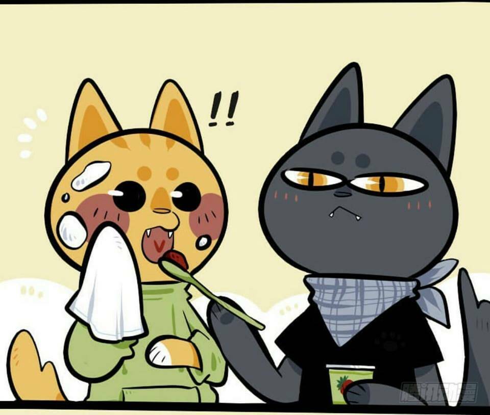 đời không như mình tưởng chapter 2 12