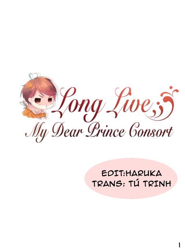hoàng tử phi thân yêu của tôi chapter 4 1
