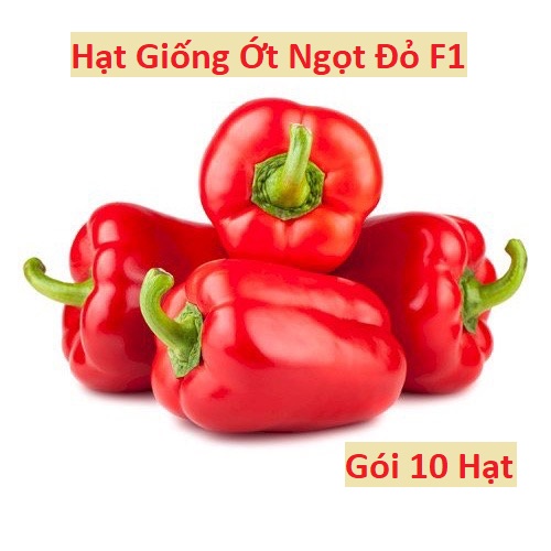 Hạt Giống Ớt Ngọt Đỏ F1 - Ớt Chuông Đỏ Ngon 4 Mùa - Gói 10 Hạt
