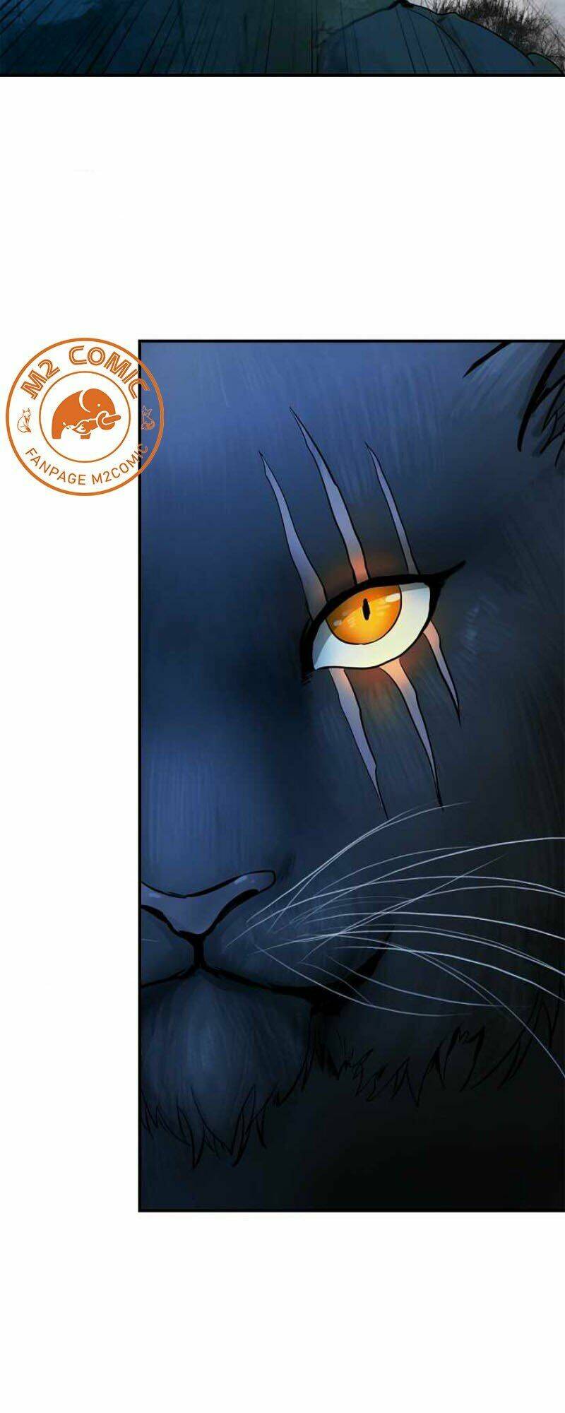 xuyên không thành hổ chapter 5 17