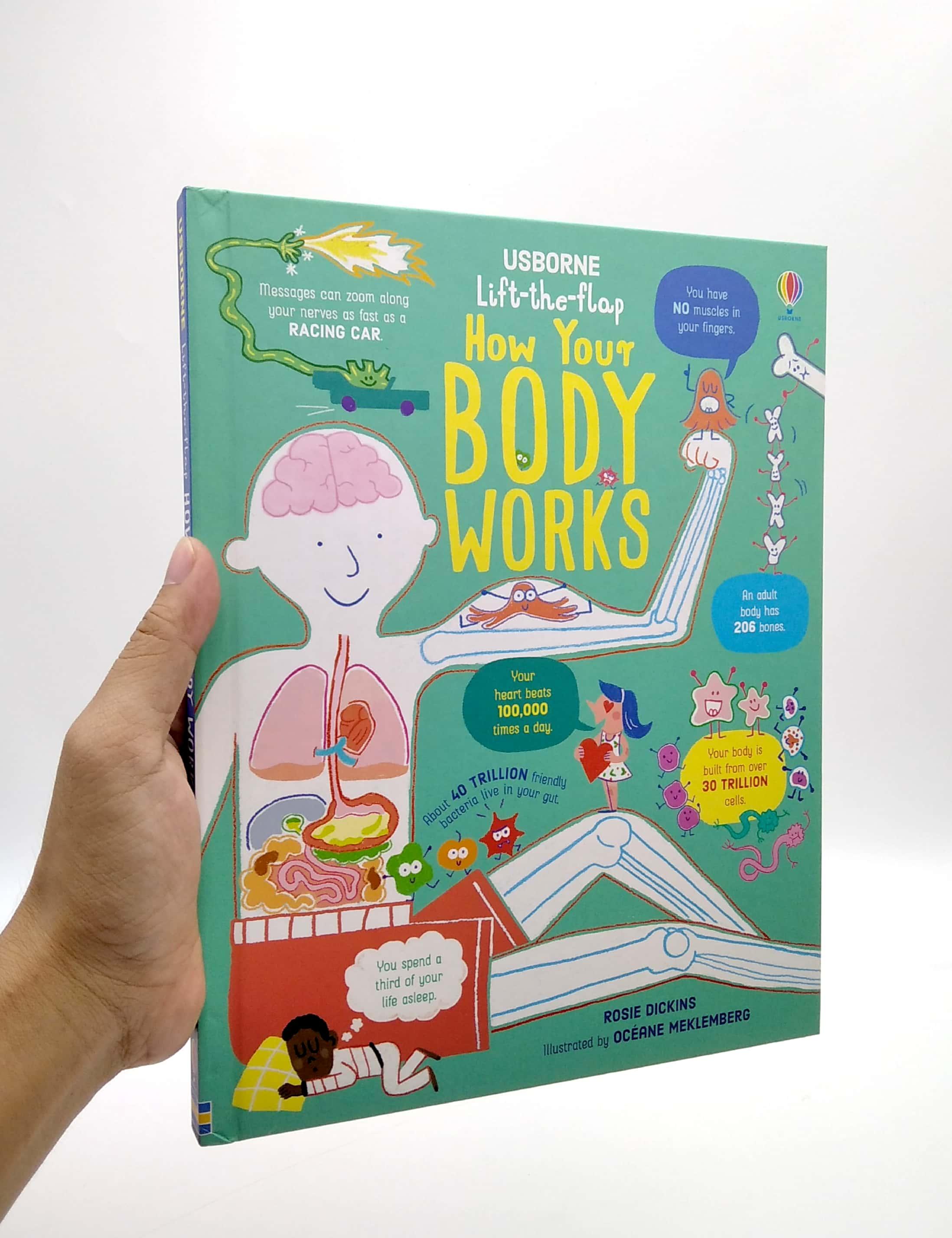 Sách ngoại văn: Lift-the-flap How Your Body Works