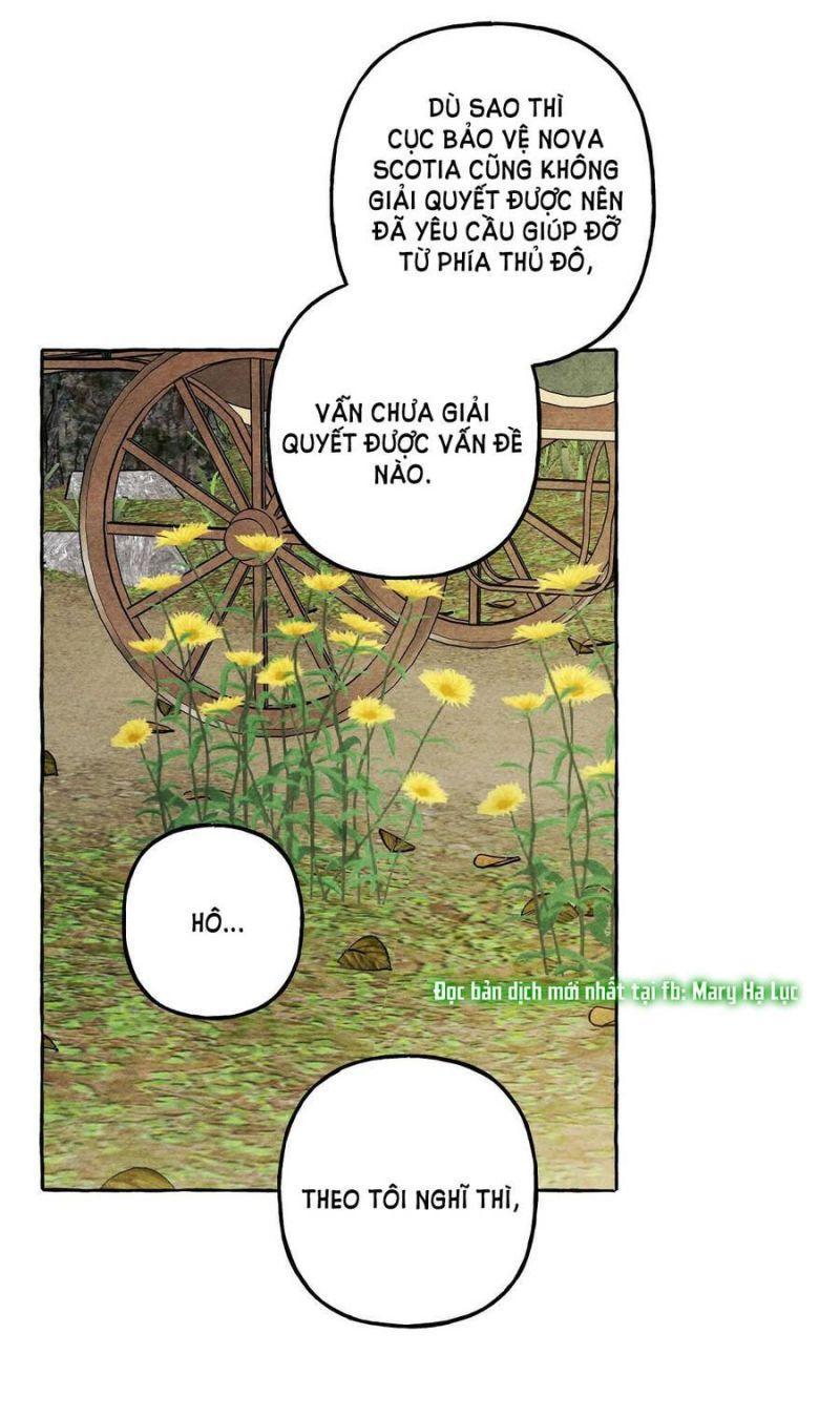 nuôi dưỡng một hắc long chapter 41 13