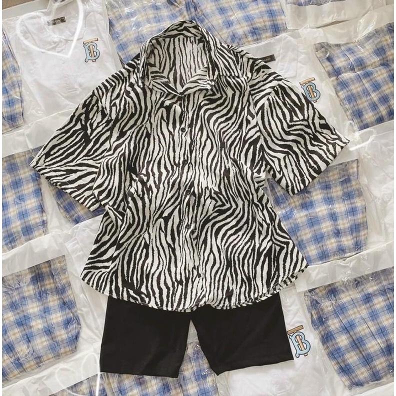 Áo sơ mi tay lỡ vằn - quần ngố ôm - carotshop - freesize dưới 57kg