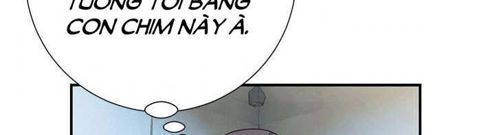 công chúa của loài chim chapter 51.1 314