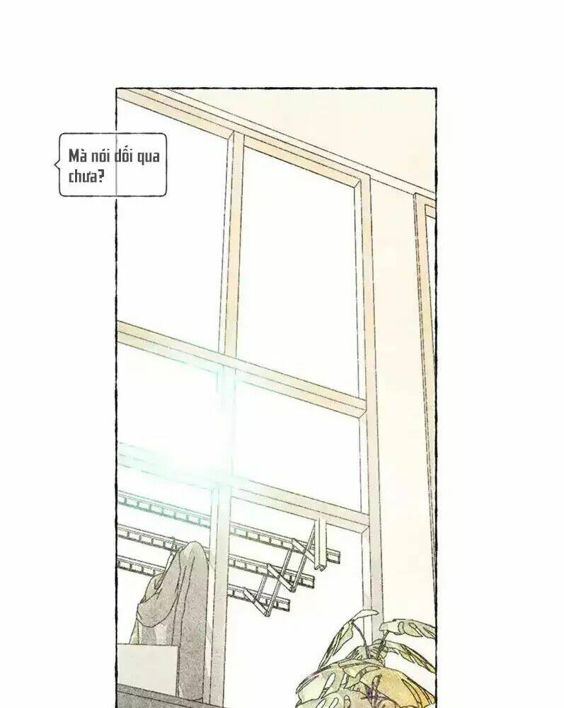 bắt đầu từ 1 lời nói dối chapter 4 30