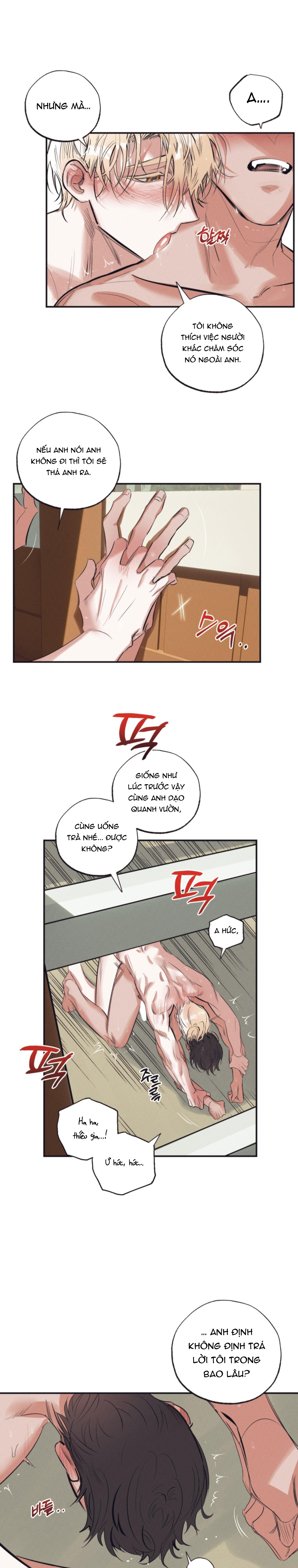 vườn địa đàng của esther chapter 2 13