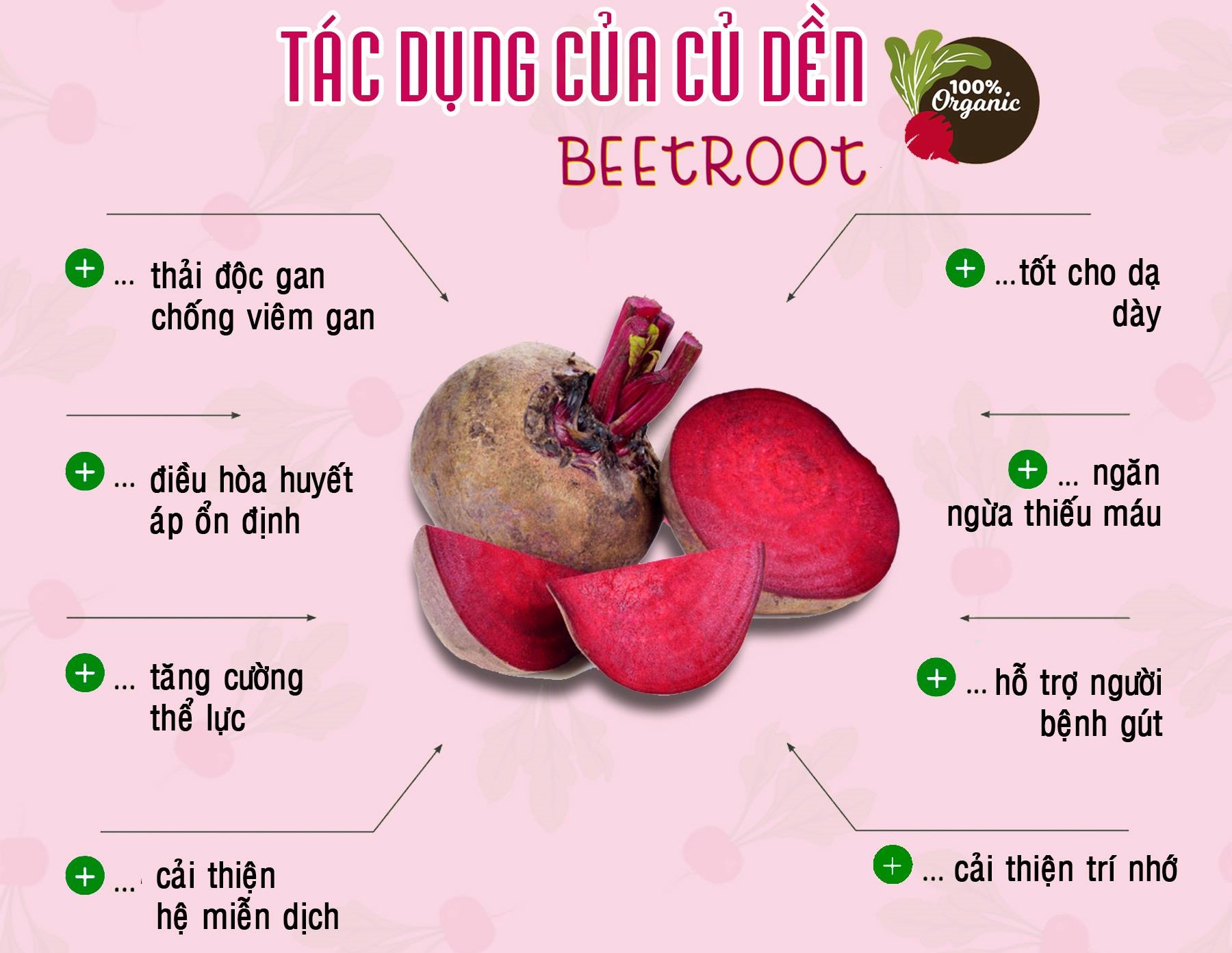 Bột củ dền hữu cơ nguyên chất sấy lạnh Dalahouse - Thúc đẩy sức khỏe tim mạch, hỗ trợ giải độc gan, tăng cường thể lực