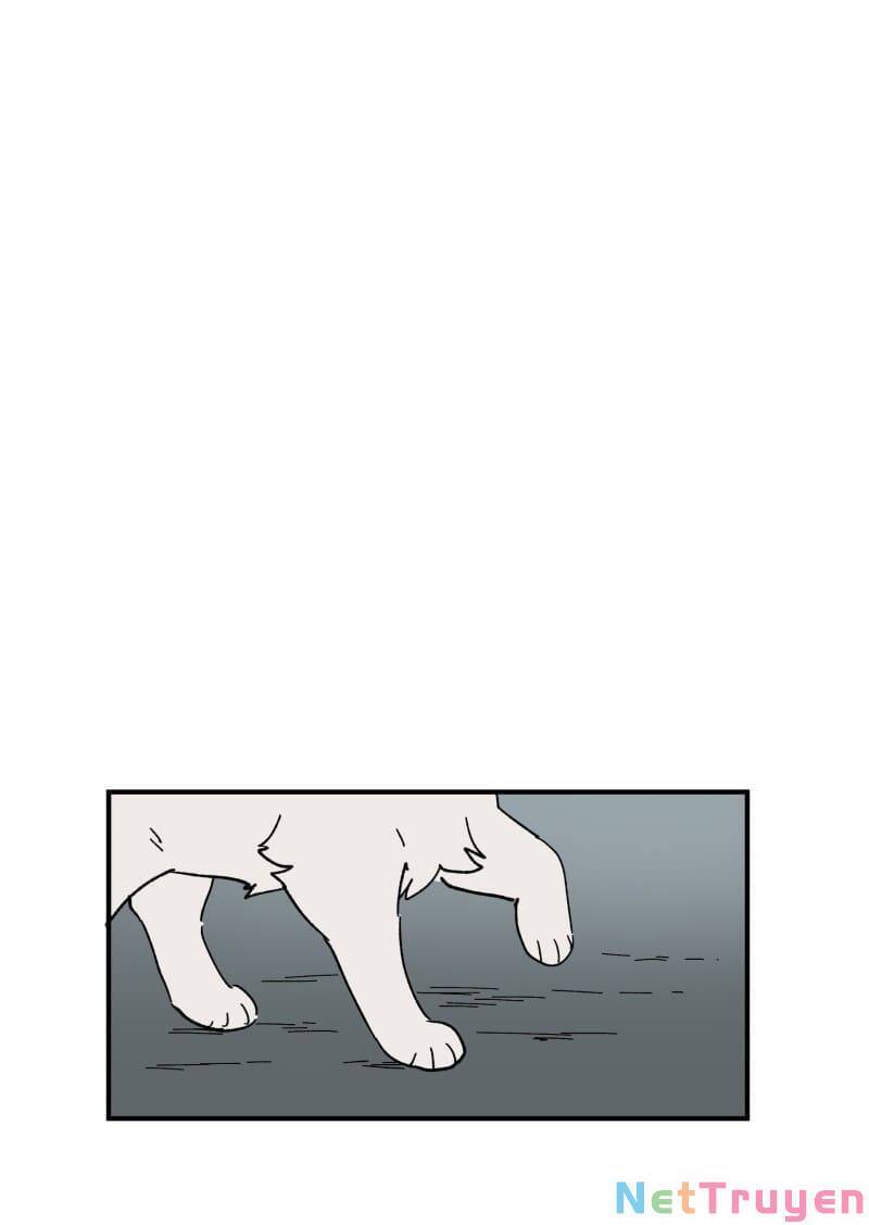 lumine - cội nguồn ánh sáng chapter 154 25