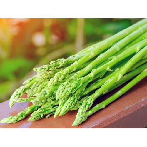 Hạt Giống Măng Tây Mỹ - 0.5gr/gói