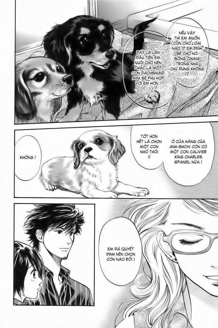 cô nàng yêu chó chapter 33 4