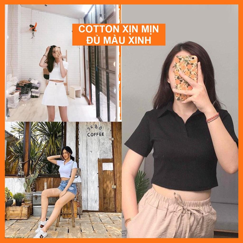 áo croptop nữ tay ngắn có cổ - áo croptop kiểu polo