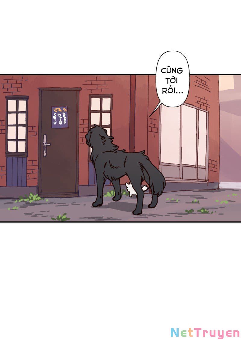 lumine - cội nguồn ánh sáng chapter 83 2