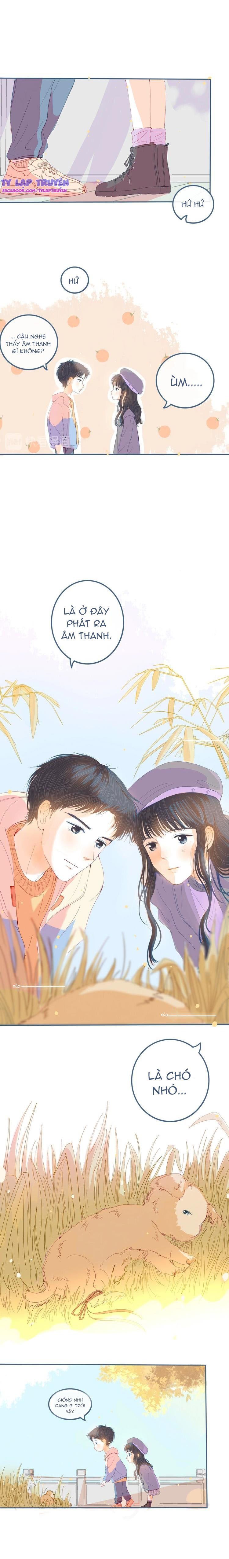 không có mưa gió thì sao có nắng chapter 9 11