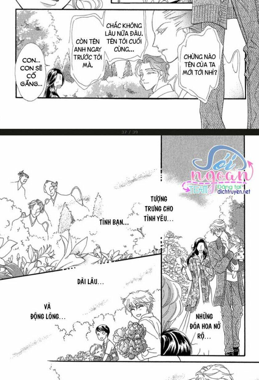 đóa hồng dành tặng seri chapter 20 36
