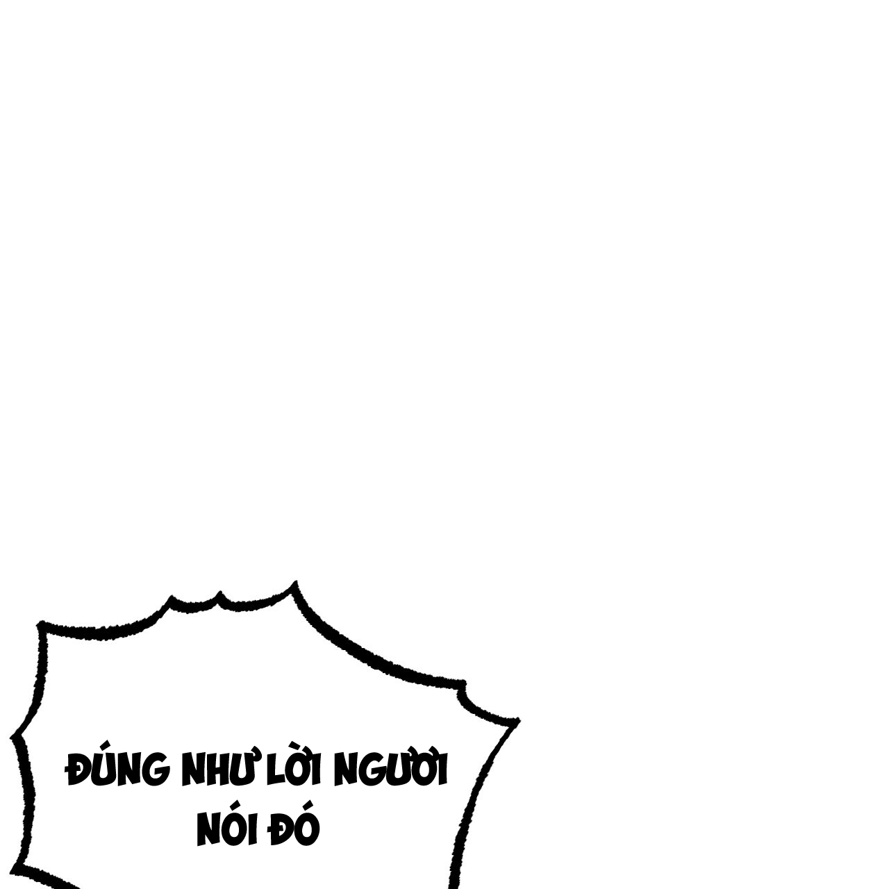 những chú thỏ của hapypy chapter 15 27