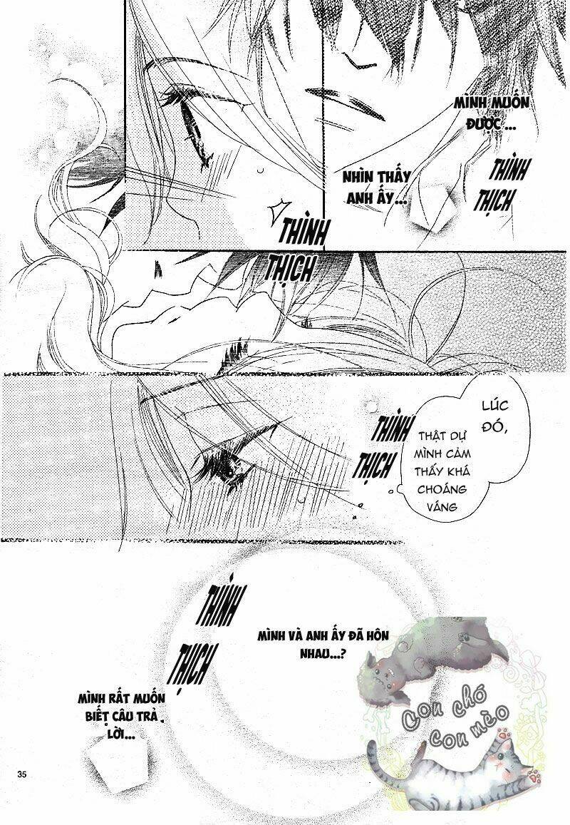 sai x ai chapter 1 33