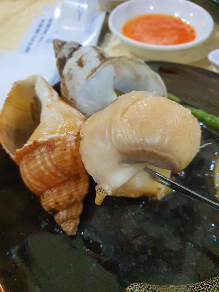 ỐC BULOT BẮC ÂU