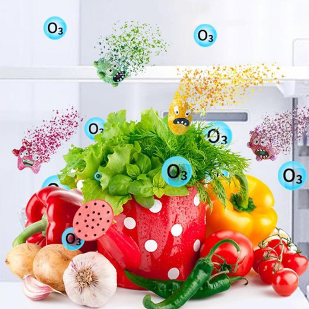 Mini Air Purifier Ozone Generator Smell Odour Steriliser for Home Travel