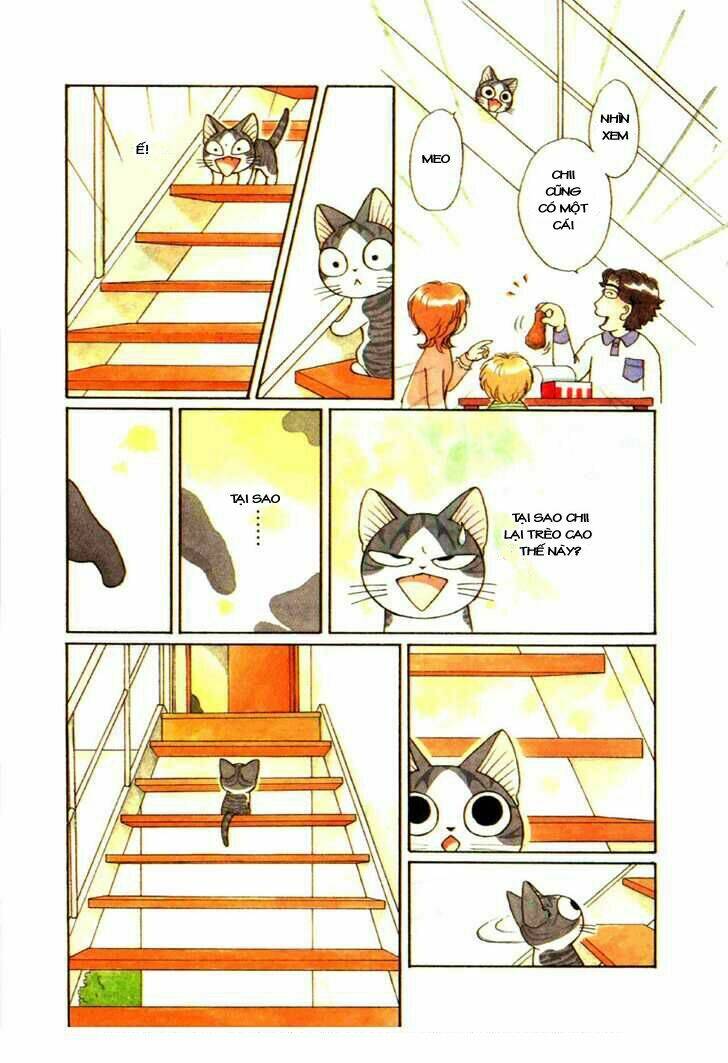 chi's sweet home chapter 74 6