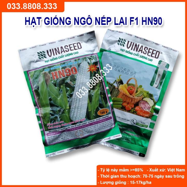 Hạt Giống Ngô Nếp Lai HN90  Đều Dẹp Thơm Tròn Hạt
