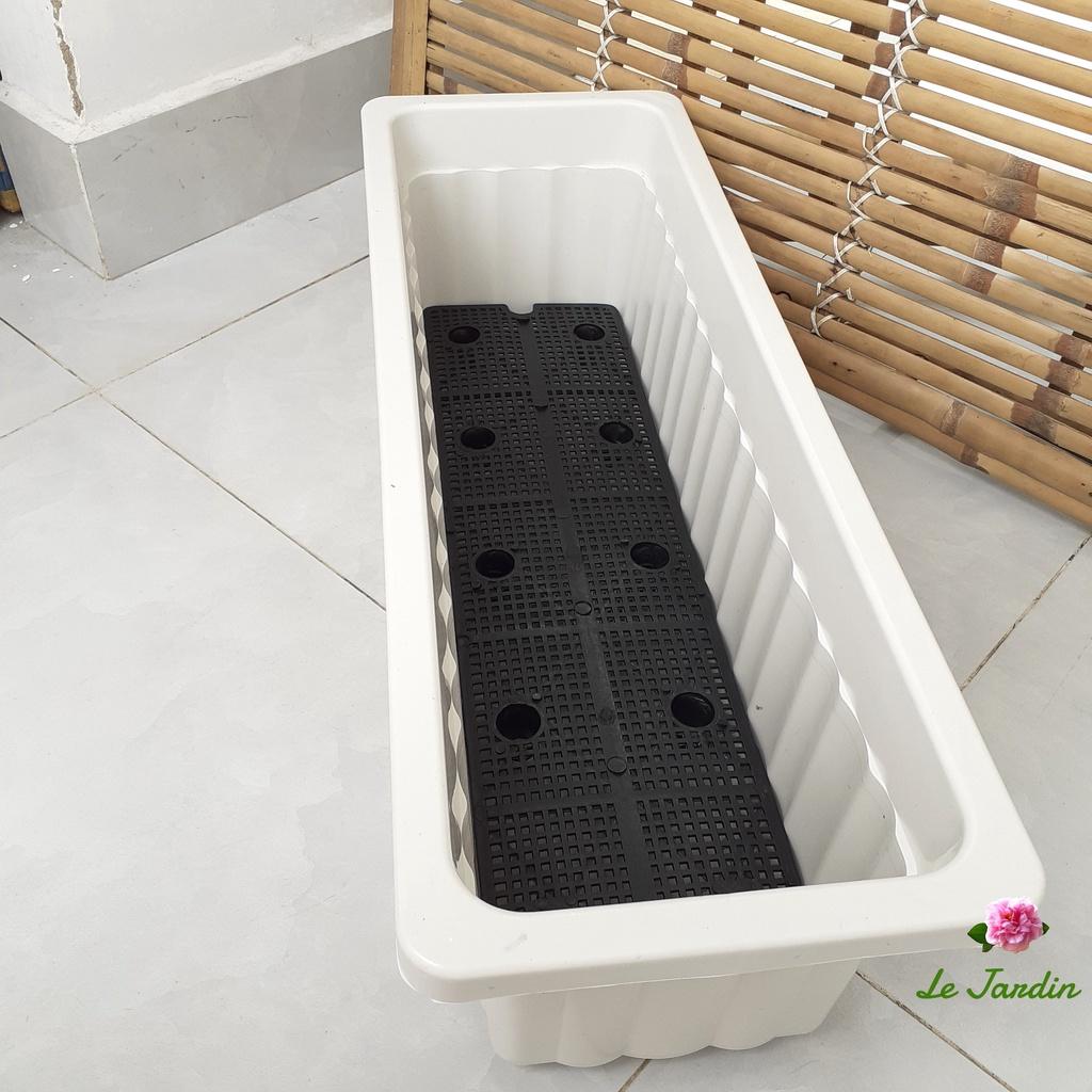 Chậu nhựa dài trồng cây kiểng, rau sạch ban công sân thượng