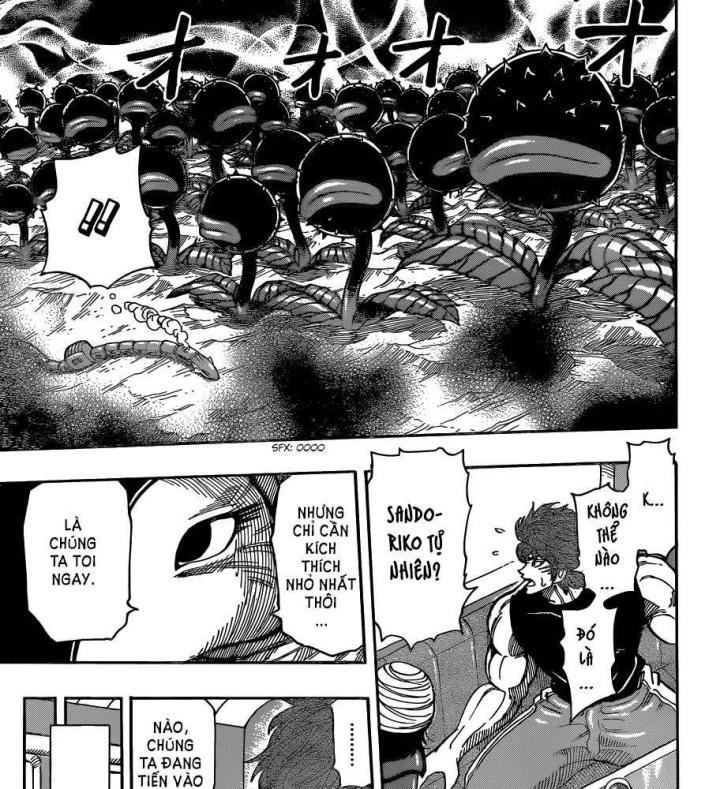 thánh tỏi sành ăn chapter 302 17