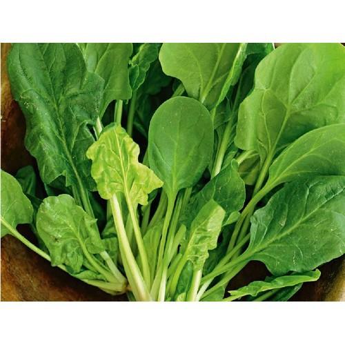 10Gr Hạt Giống Bó Xôi Chịu Nhiệt