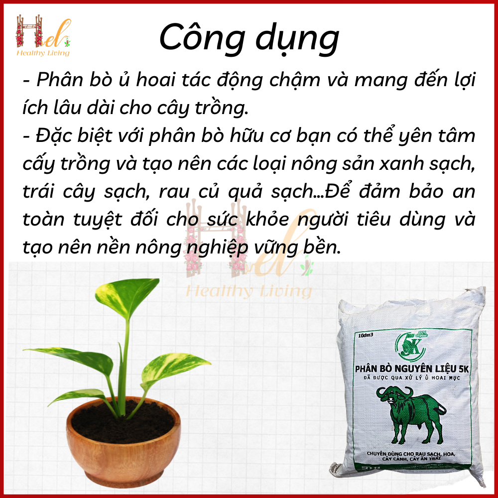 Phân Bò Hoai Mục 10dm3  Đã Qua Xử Lý Trồng Rau, Hoa Kiểng, Cây Kiểng, Cây Trong Nhà