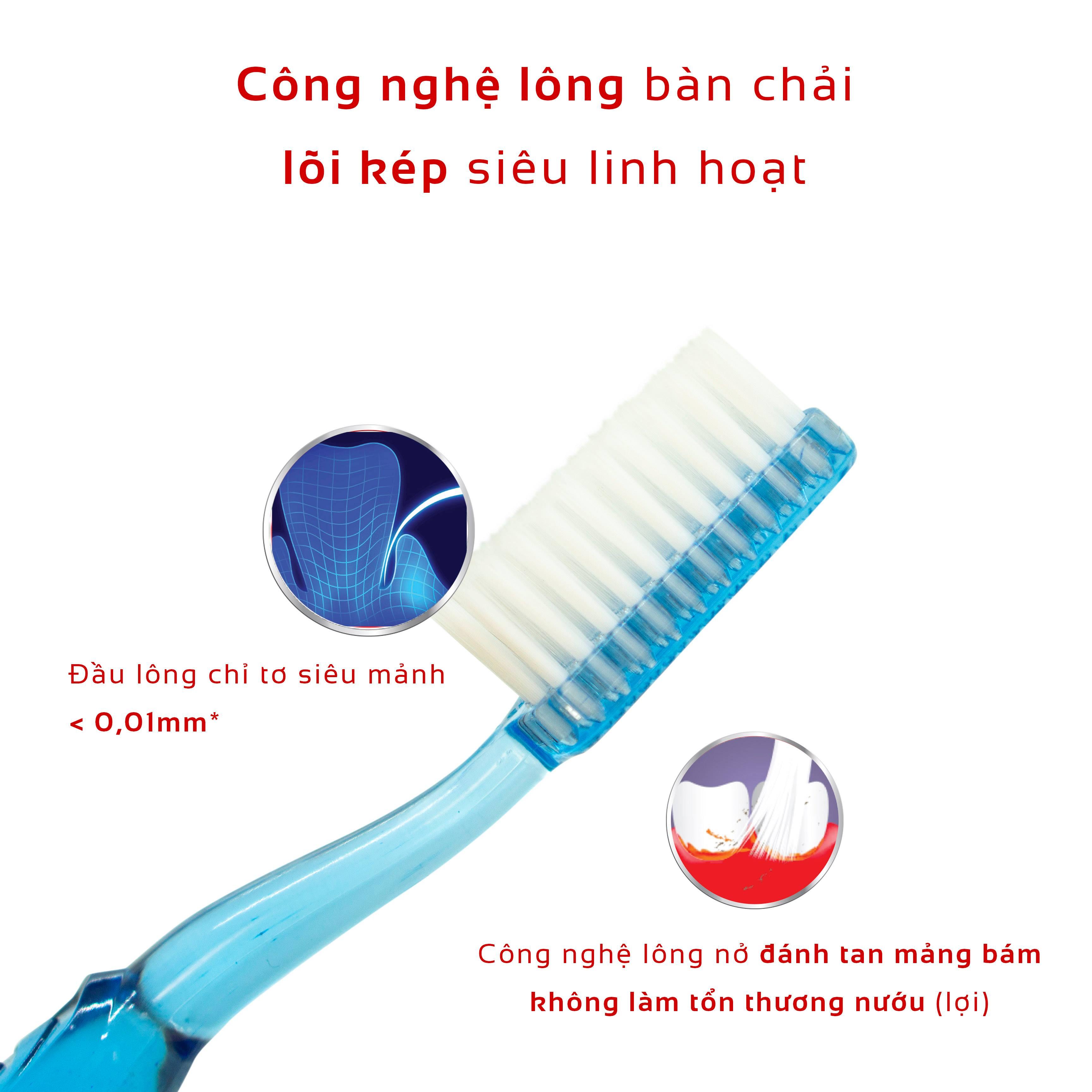 Combo 03 Bàn Chải Đánh Răng LIPZO Crystal Love For Man Công Nghệ Lông Nở Kết Hợp Chỉ Tơ Nha Khoa Dành Cho Nam Giới