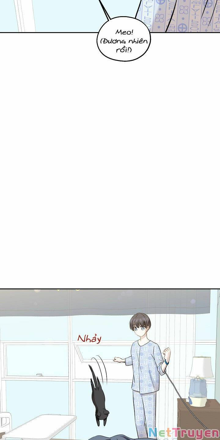 cuộc sống kỳ thú chapter 86 18