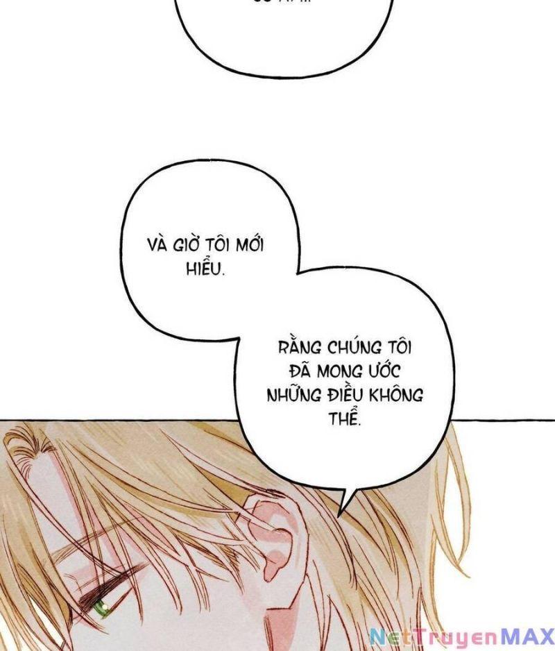 nuôi dưỡng một hắc long chapter 68.2 22