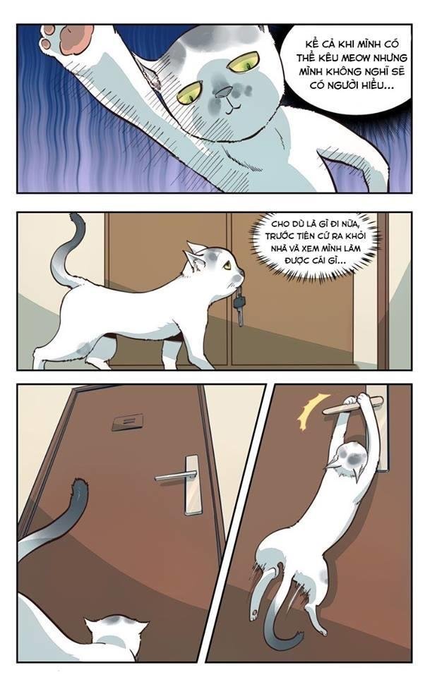 thời khắc ấy, chúng ta gặp nhau chapter 2 10