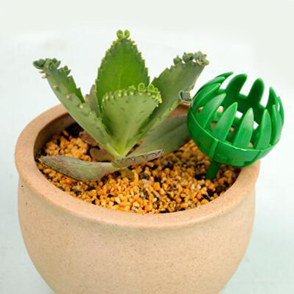 10pcs Plastic Fertilizer Basket Garden Tools for Plants Orchid Bonsai Size L