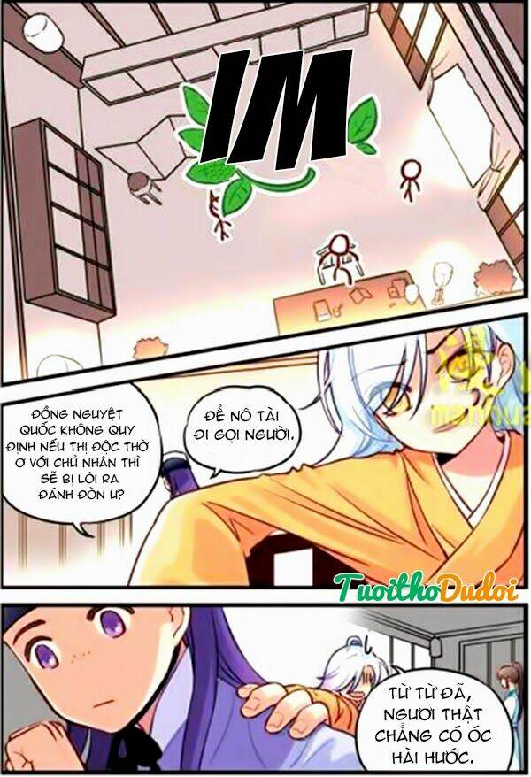 hoa phi hoa chapter 16 5