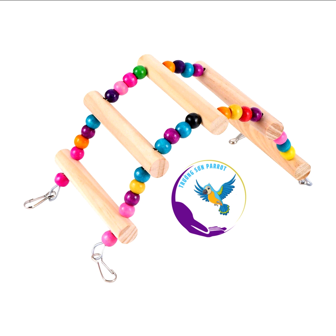 Bộ 6 món đồ chơi như hình treo lồng cho vẹt, sóc, chuột hamster và chim cảnh khác .