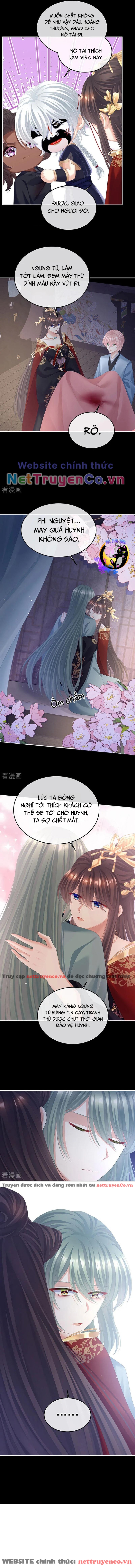 hậu cung của nữ đế - mùa 2 chapter 41 7