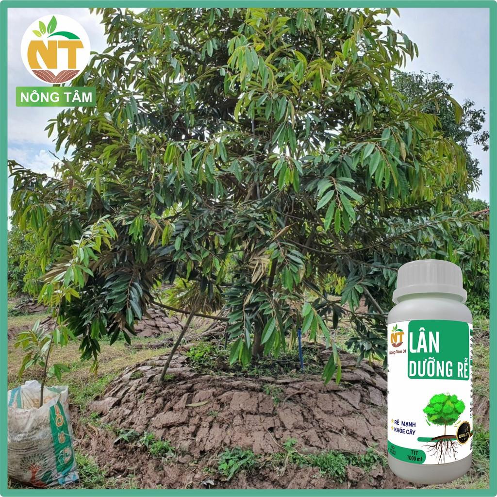 Phân bón siêu dưỡng rễ, kích rễ, chuyên dùng cho rau màu, cây ăn quả, chai 1000ml