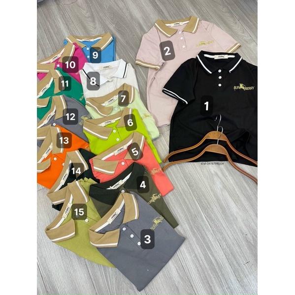 ÁO POLO VIỀN CỔ TAY