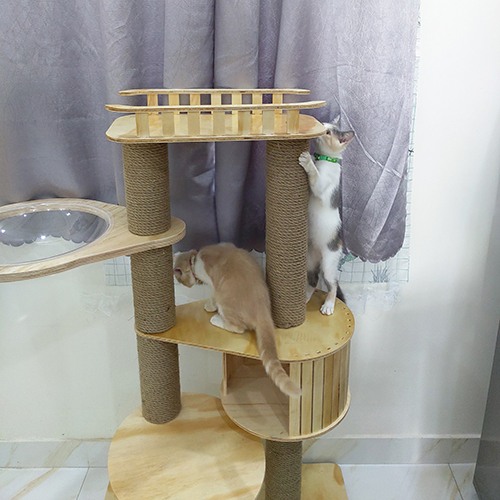 Nhà cây cho mèo PETTO nhiều tầng bằng GỖ có LỒNG KÍNH nhà mèo cao cấp siêu xinh  vui chơi thỏa thích CH017