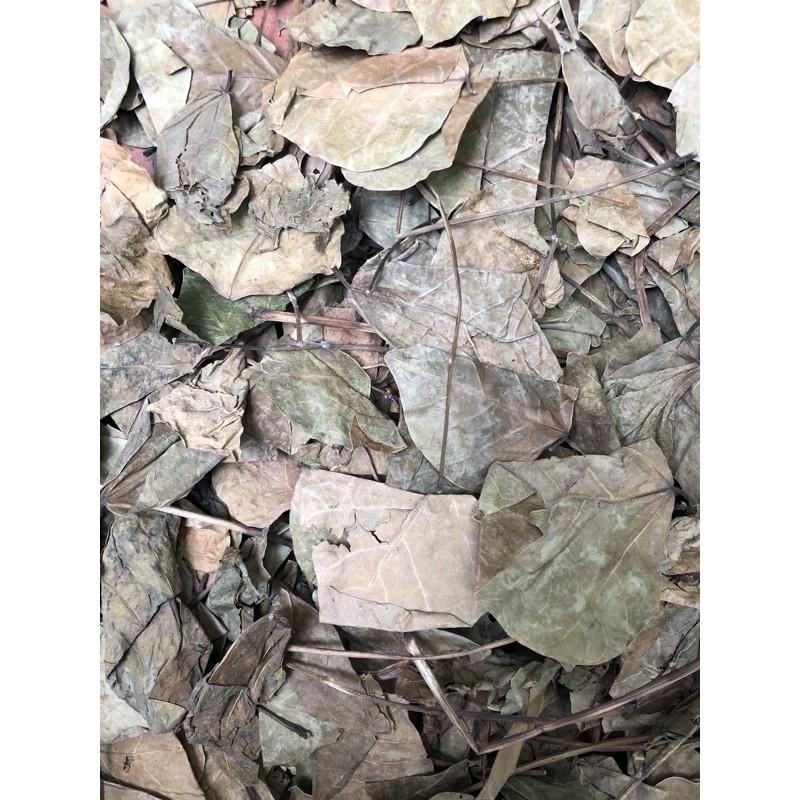 CHUẨN 1kg lá vông nem khô hàng loại 1 thơm ngon