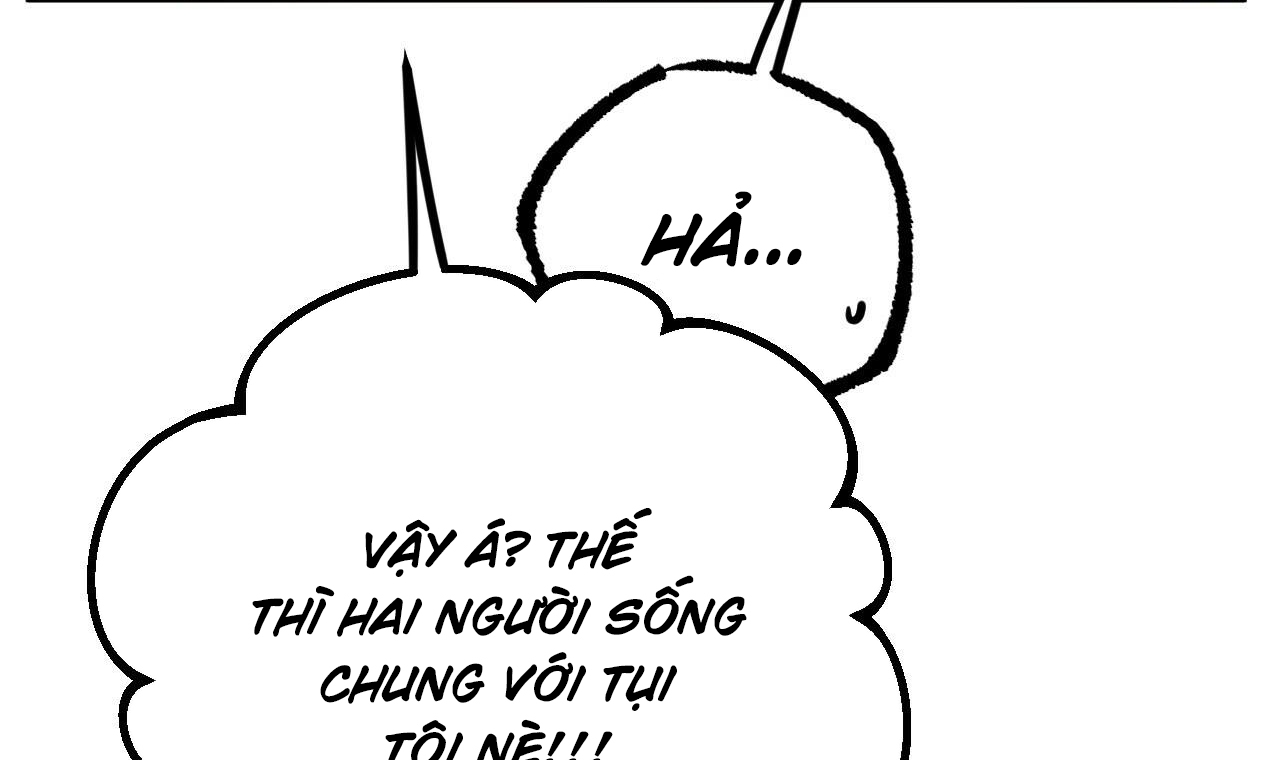 những chú thỏ của hapypy chapter 51 168