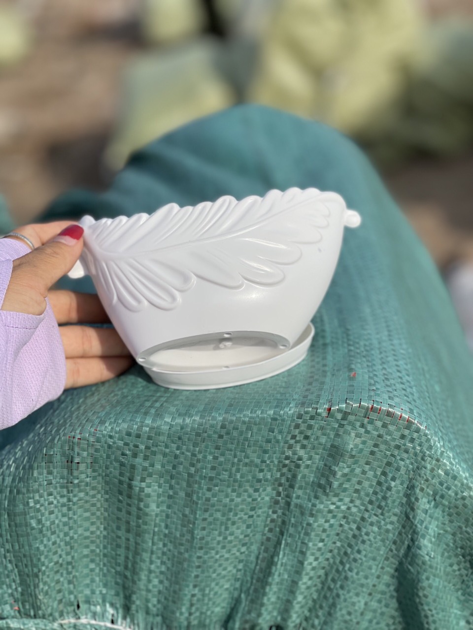Chậu nhựa trồng sen đá màu trắng kèm đĩa 15x8x8cm